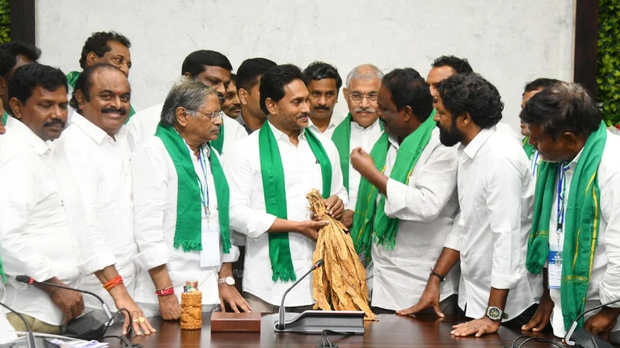 Tobacco Auction Delay Crisis in Andhra Pradesh
