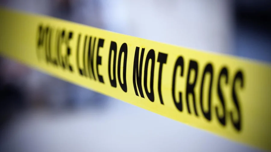 Woman Killed Over Talliki Vandanam Money in Andhra