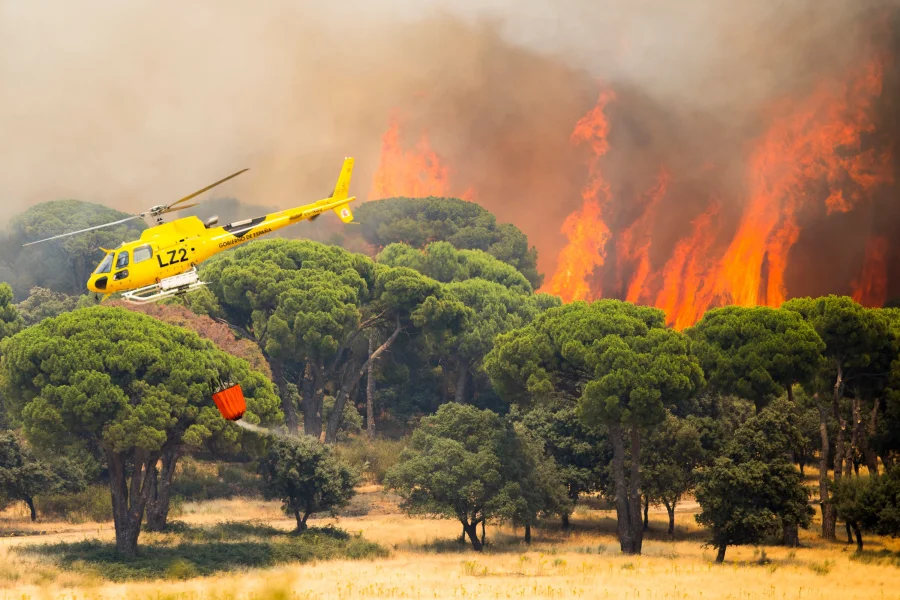 Spain's Most Destructive Wildfire Rages in Ávila