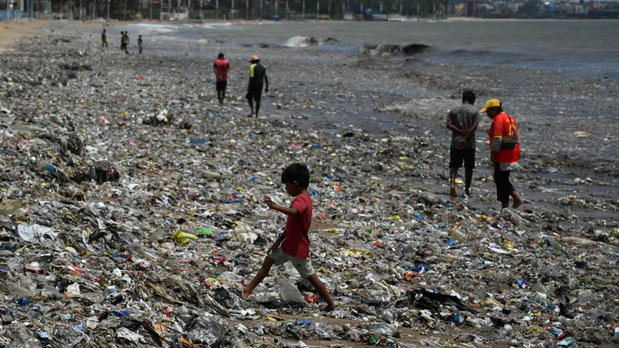 Garbage Disaster 2500 Tonnes Hit Mumbai Beaches