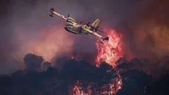 Southern Europe Wildfires Burn 162 Sq Miles in France