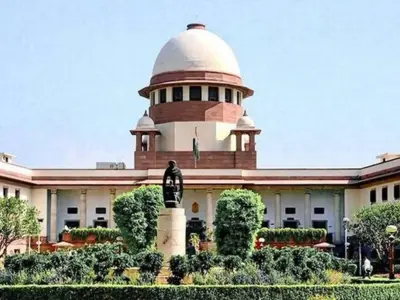 Supreme Court Turtle Remark Slams PFI Trial Delay