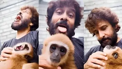 Vikram Lar Gibbon Video Sparks Forest Probe