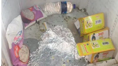 Maharashtra FDA Suspends Blinkit Zepto Over Cockroaches