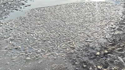 Palar Fish Kill Alert Oxygen Depletion