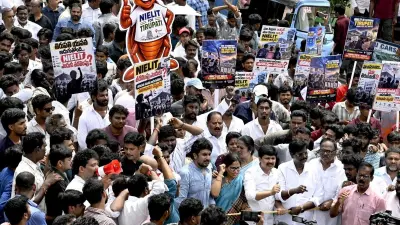 NIELIT Clarity Demand Backed by Andhra Pradesh Leaders