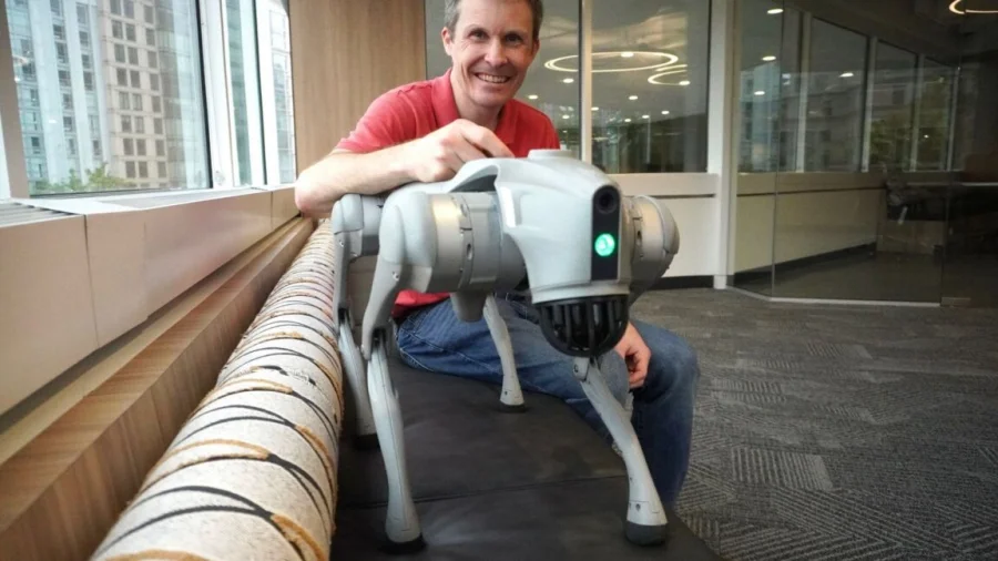 Robot Dog Walk in Public Triggers a Surprising New Reaction