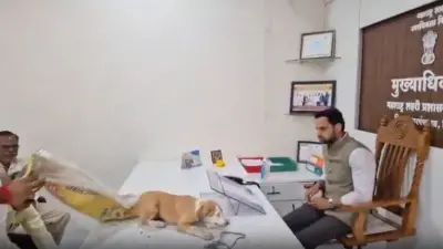Sena UBT Leader Stray Dogs Row Sparks New Debate